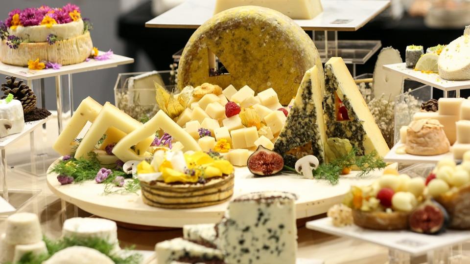 Cașcavaluri moldovenești, premiate cu argint și bronz la o competiție mondială din Franța. Evenimentul - în imagini