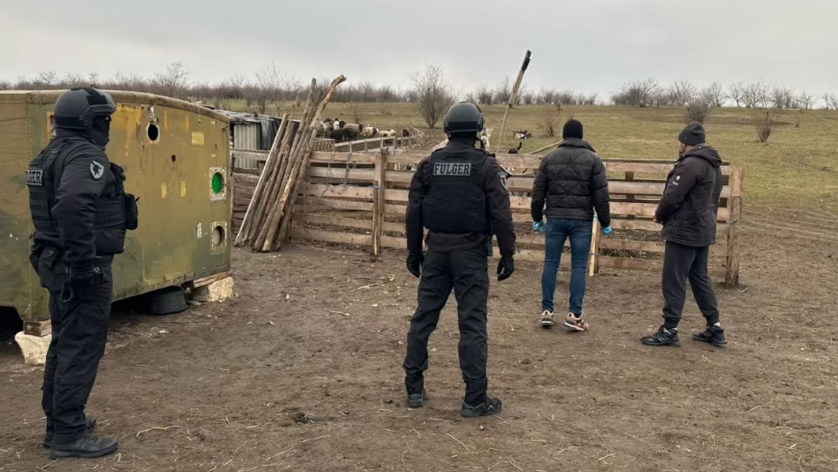 Doua persoane, exploatate prin muncă la o fermă de animale din Florești. Oamenii legii au descins cu percheziții