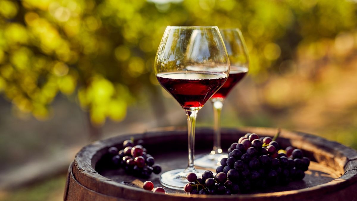 Cum alegem corect vinul pentru masa de sărbătoare. ANSA vine cu o serie de recomandări