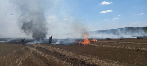 Pompierii au lichidat 76 de focare de ardere a vegetației în ultimele 24 de ore. Recomandările IGSU