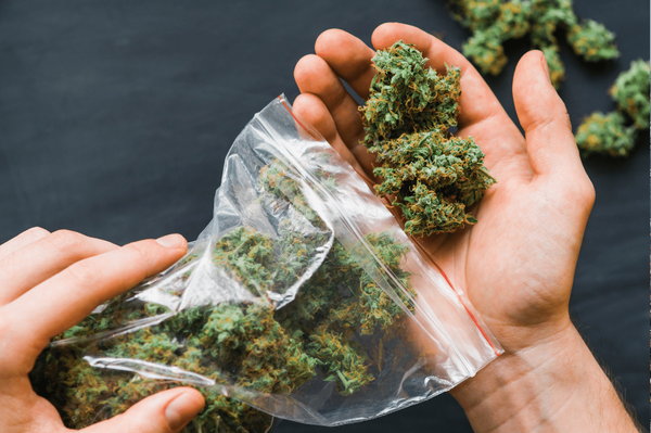 VIDEO/ Fost medic psihiatru, suspectat de trafic cu droguri. Ce au găsit oamenii legii la domiciliul acestuia