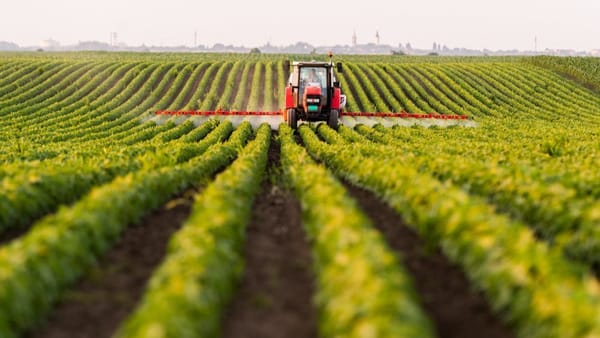 „Seceta și stresul termic”. Eurostat: Producția de cereale din UE a scăzut în 2022. Datele din R. Moldova
