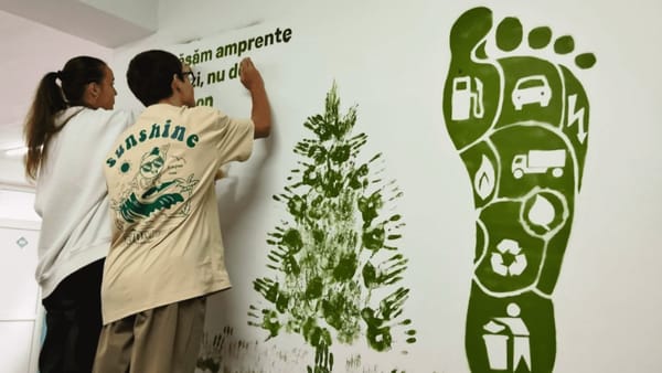 Sute de elevi din țară au dezvoltat soluții pentru mediu, la prima ediție „Verde Play”