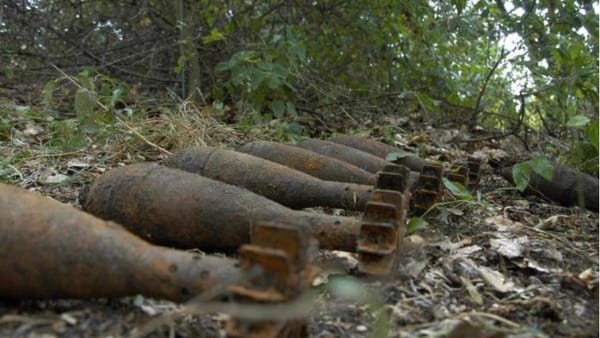 18 obiecte explozive, neutralizate într-o lună. Apelul geniștilor în sezonul lucrărilor agricole