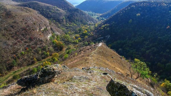 Complex turistic, construit ilegal în Rezervația Țîpova. Inspectoratul Mediului anunță că lucrările au fost stopate